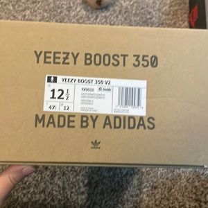 Earth Yeezy Boost 350 Used